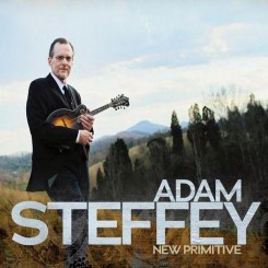 Adam Steffey - New Primitive (2013).jpg