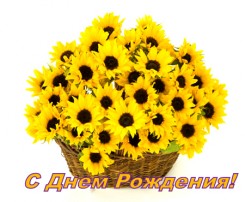 korzina-sunflowers.jpg