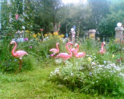 Розовые фламинго.jpg