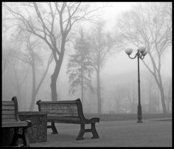 туман улица.jpg
