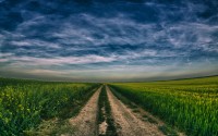 Nature_Fields_The_road_into_the_field_032640_.jpg