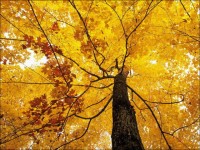 i_4030_amazing-autumn-photos-031.jpg