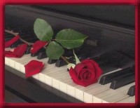 rosa sobre piano.jpg