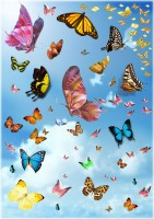 1279468358_butterflies.jpg