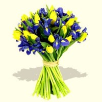 863-purple_iris_yellow_tulips_bouquet.jpg