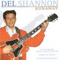 Del Shannon - Keep Searchin (Well Follow The Sun)