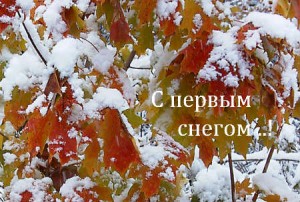 pervyiy-sneg
