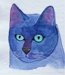 blue-kitty