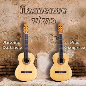 flamenco-vivo
