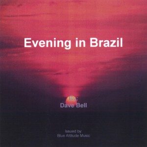 evening-in-brazil