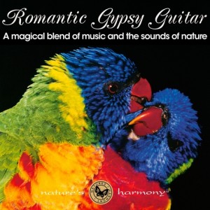 romantic-gypsy-guitar