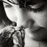 black-and-white-little-kitten-cat-girl