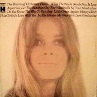 the-briarcliff-orchestra-plays---briarcliff-orchestra-1969