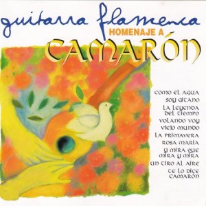 guitarra-flamenca-homenaje-a-camaron