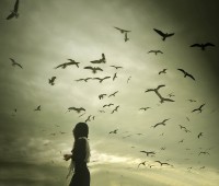 alone-backlight-birds-flight-flock-girl-favim.com-39392
