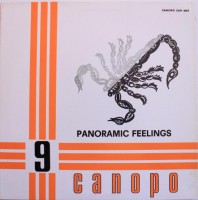 front-orchestra-alessandro-alessandroni---panoramic-feelings,-1971,-italy