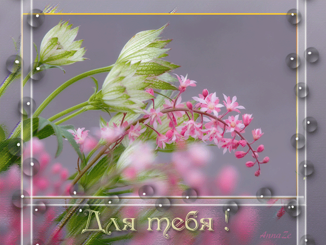 Красивые открытки с весенними цветами. Весеннее настроение. Доброго весеннего дня. Весенние цветы для тебя. Доброе весеннее утро гифки с пожеланиями красивые