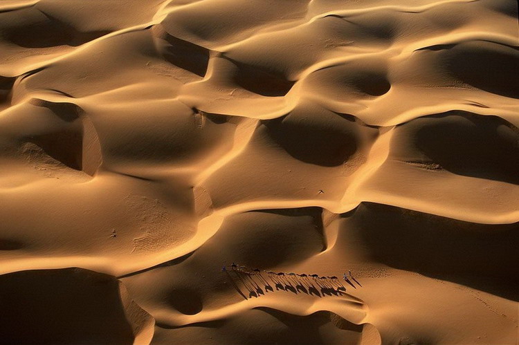 Караван дюнах.Мавритания.