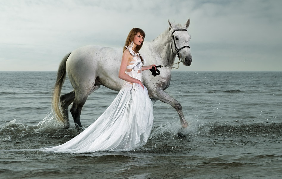 Ждала принца на белом коне фото