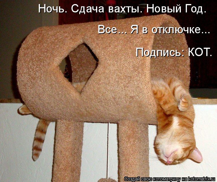 Фото котов с приколами с надписями