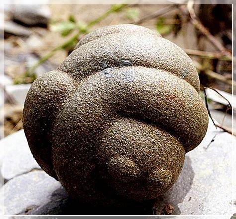 Трованты – живые камни из Румынии At930790900