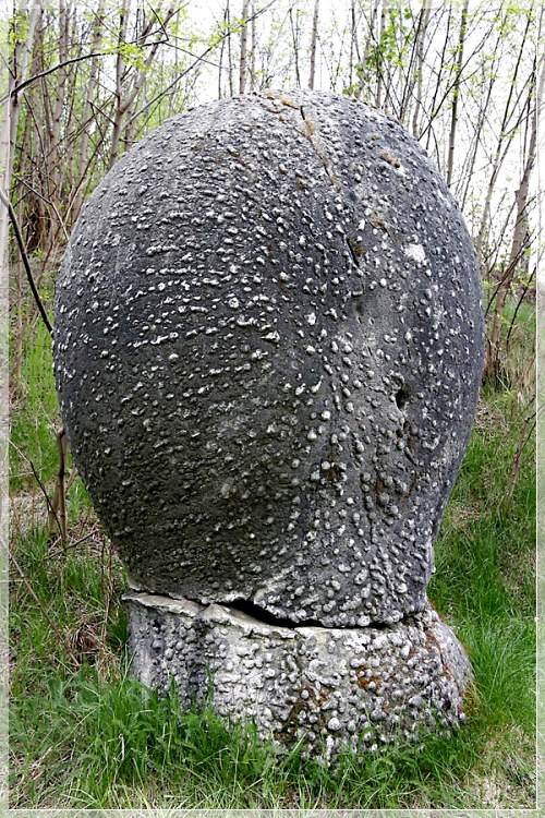 Трованты – живые камни из Румынии At864733218