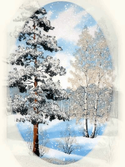 Зимний пейзаж с сосной и снегом. аним.