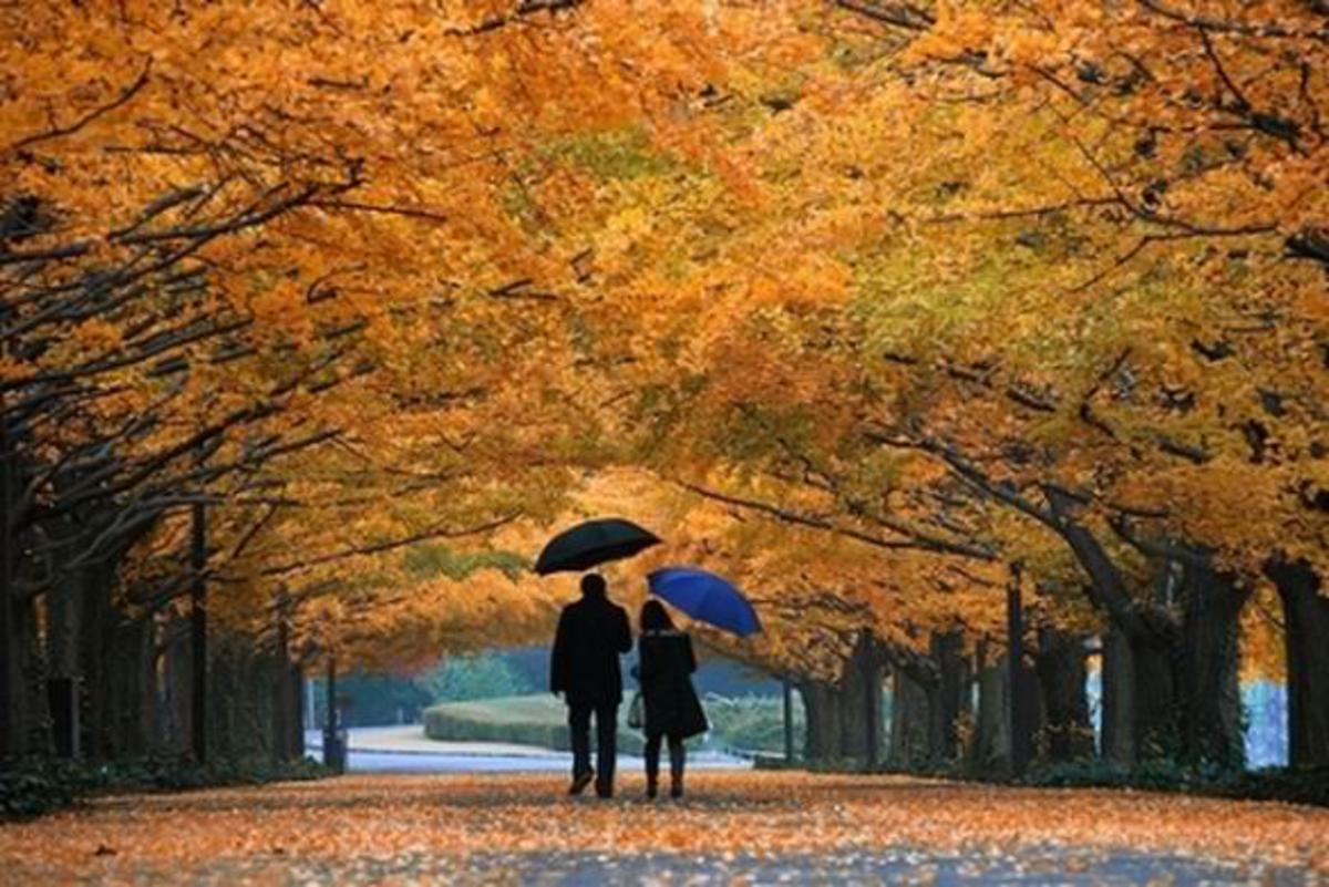 В парк пришла осень. Осень в городе. Осенний парк. Прогулка в осеннем парке. Осень в городском парке.