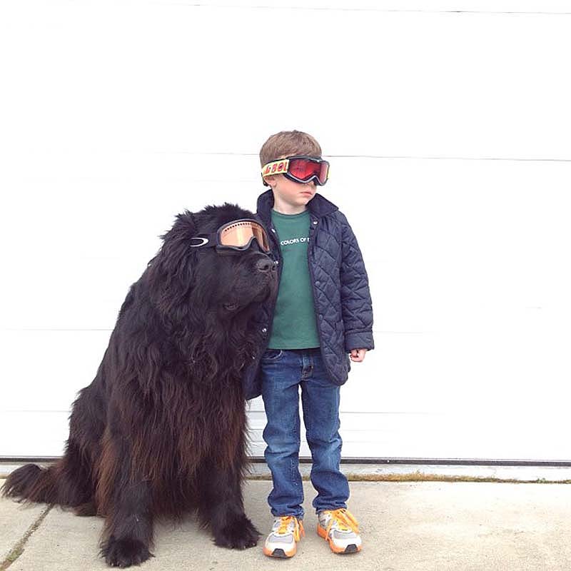 Люблю больших собак. Мальчик и большая собака. Ньюфаундленд и дети. Ньюфаундленд и мальчик. Мальчик и огромный пес.