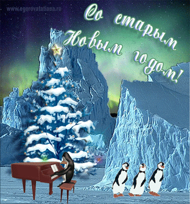 новогодний  стар. год концерт пингвинов