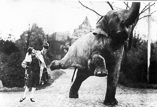 Анна Павлова учит слона танцевать