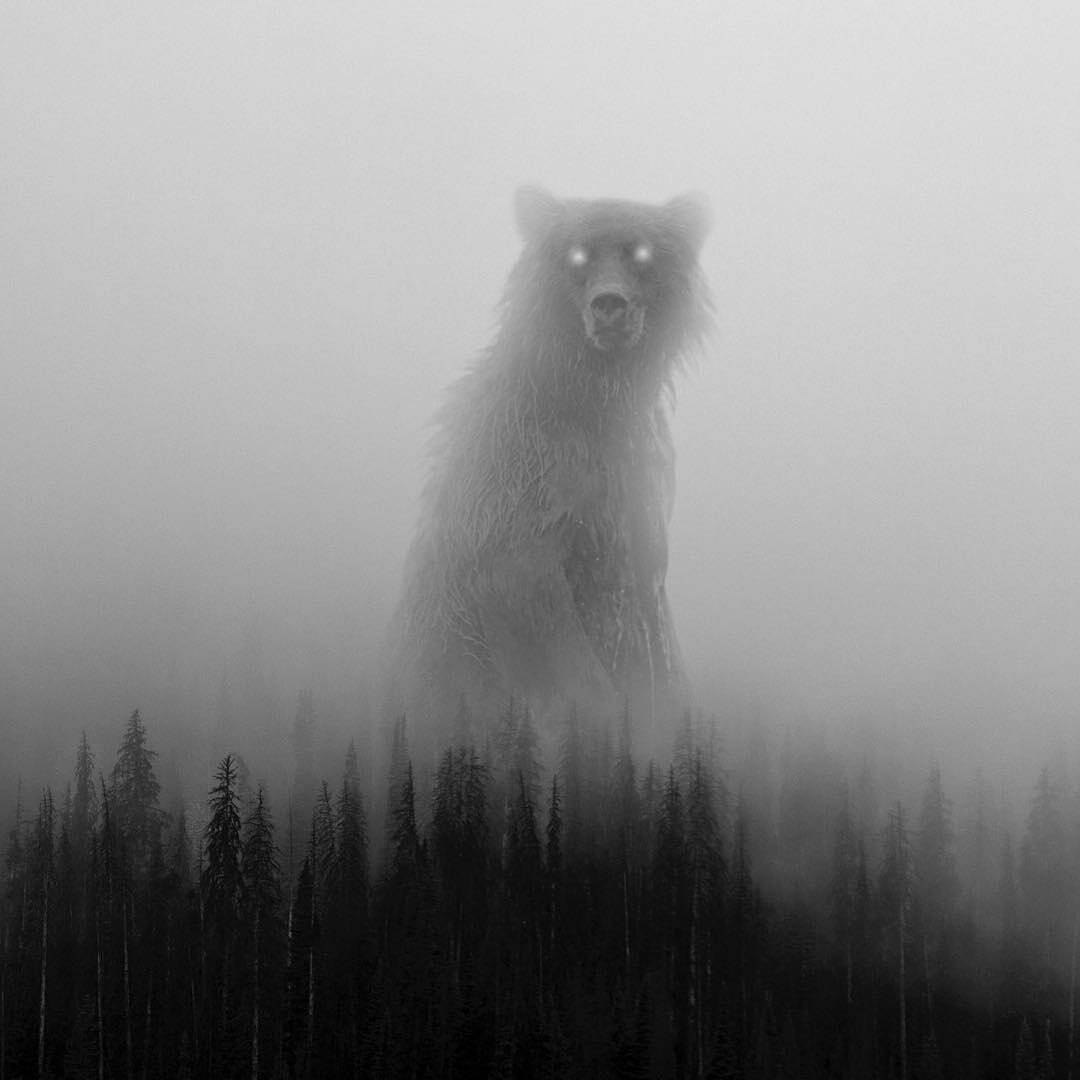 Туман хоррор. Волк в тумане. Призрак в тумане. Страшный туман.