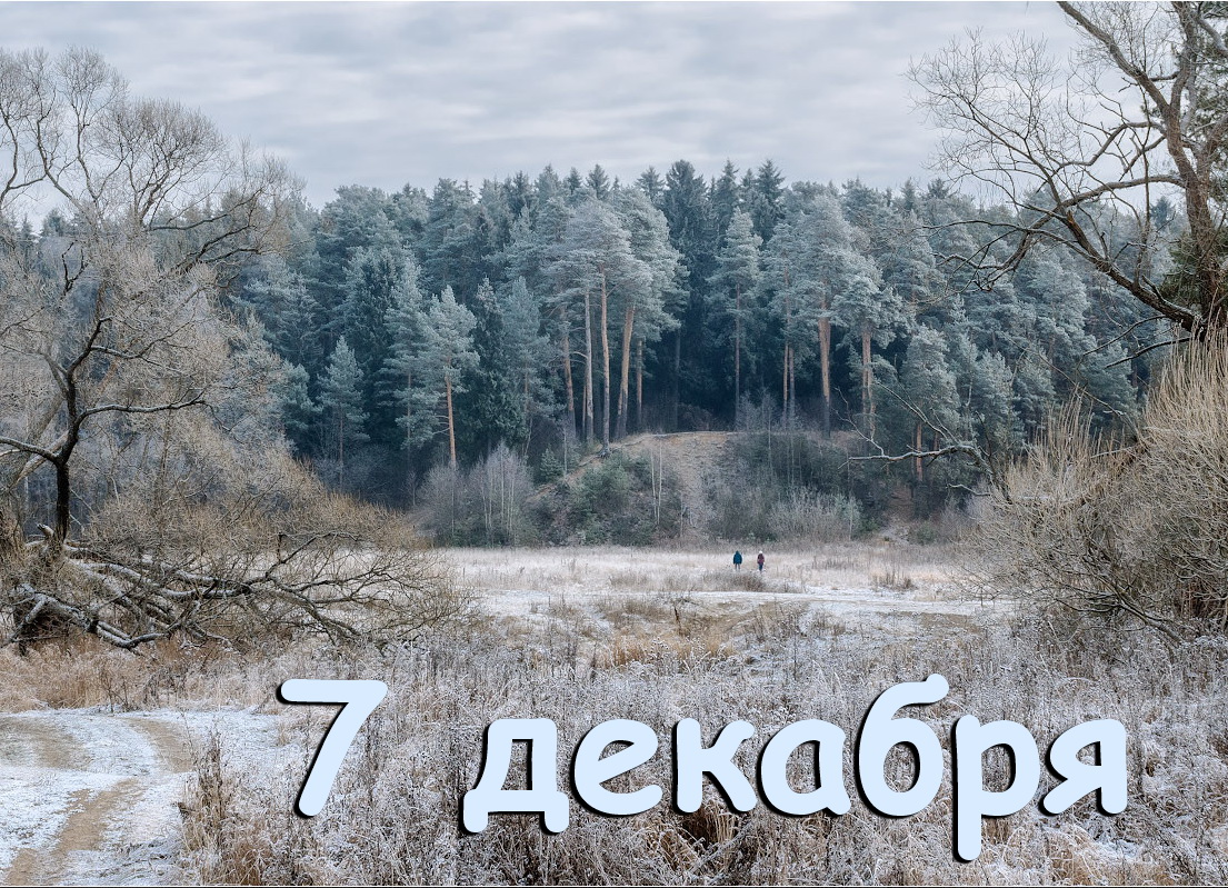 7 декабря какой день. 7 Декабря. 7 Декабря календарь. 7 Декабря день. 7 Декабря праздник.