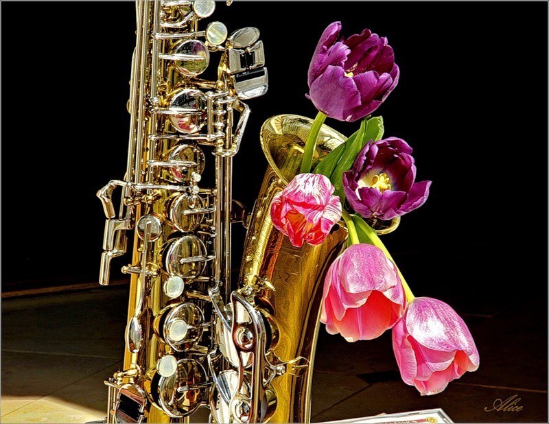 Саксофон поздравления. Саксофон. Музыкальные инструменты и цветы. Саксофон и цветы. Музыкальный букет.