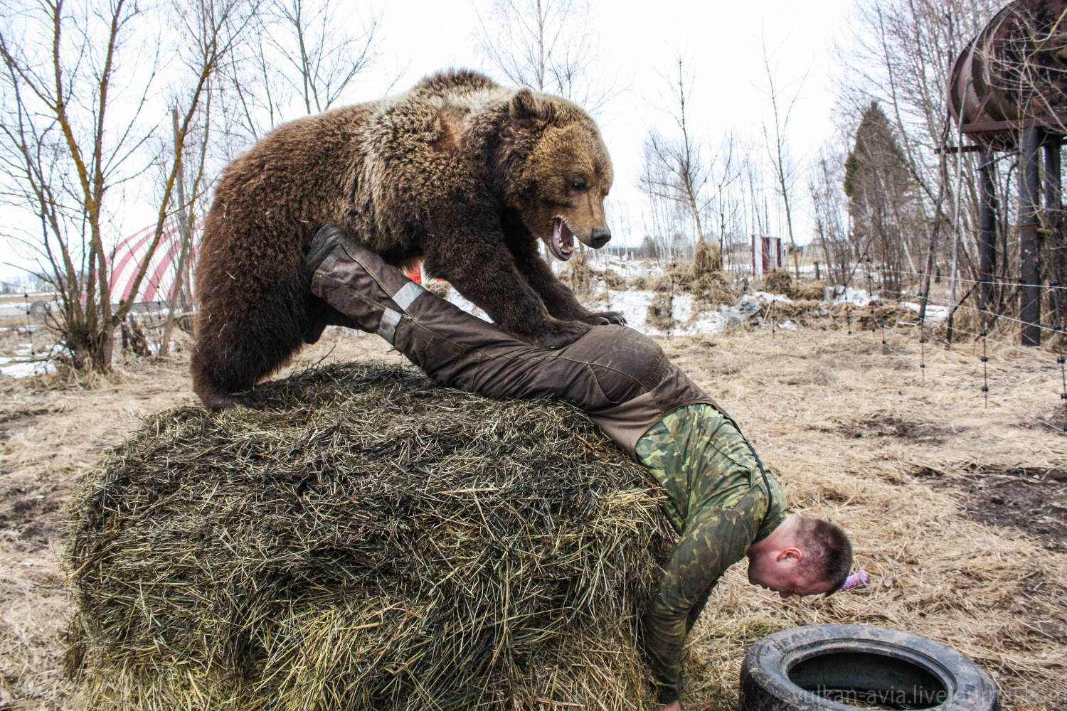 Андрей Иванов и медведем