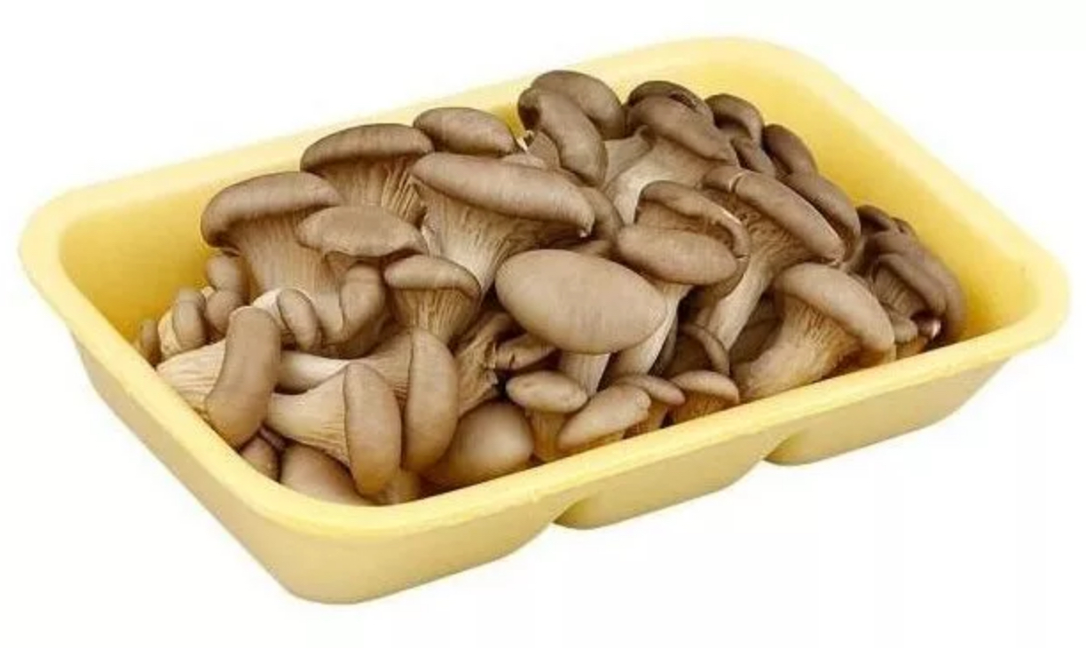 Вешенки. Pleurotus ostreatus