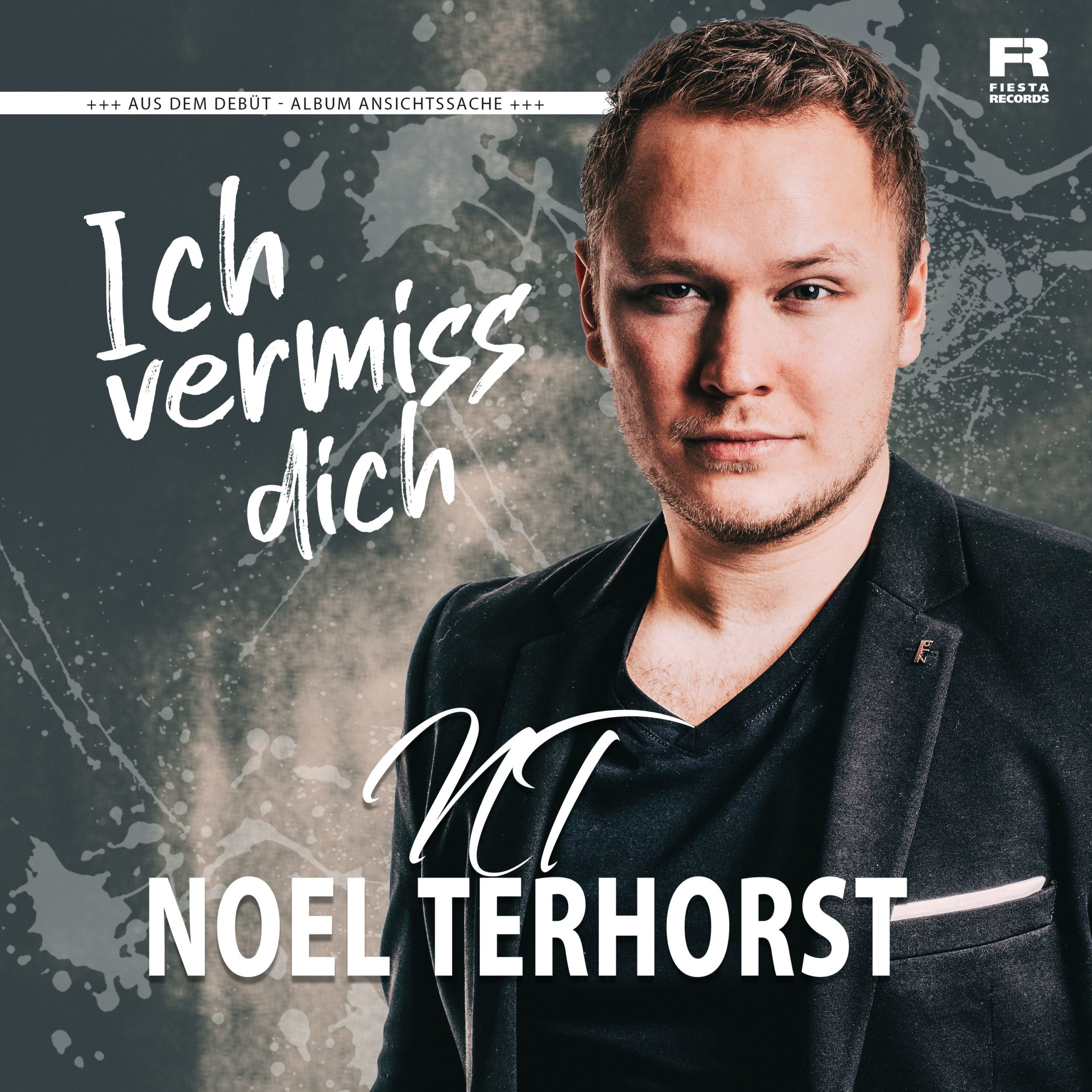 Noel Terhorst - Ich vermiss dich (2020) Cover