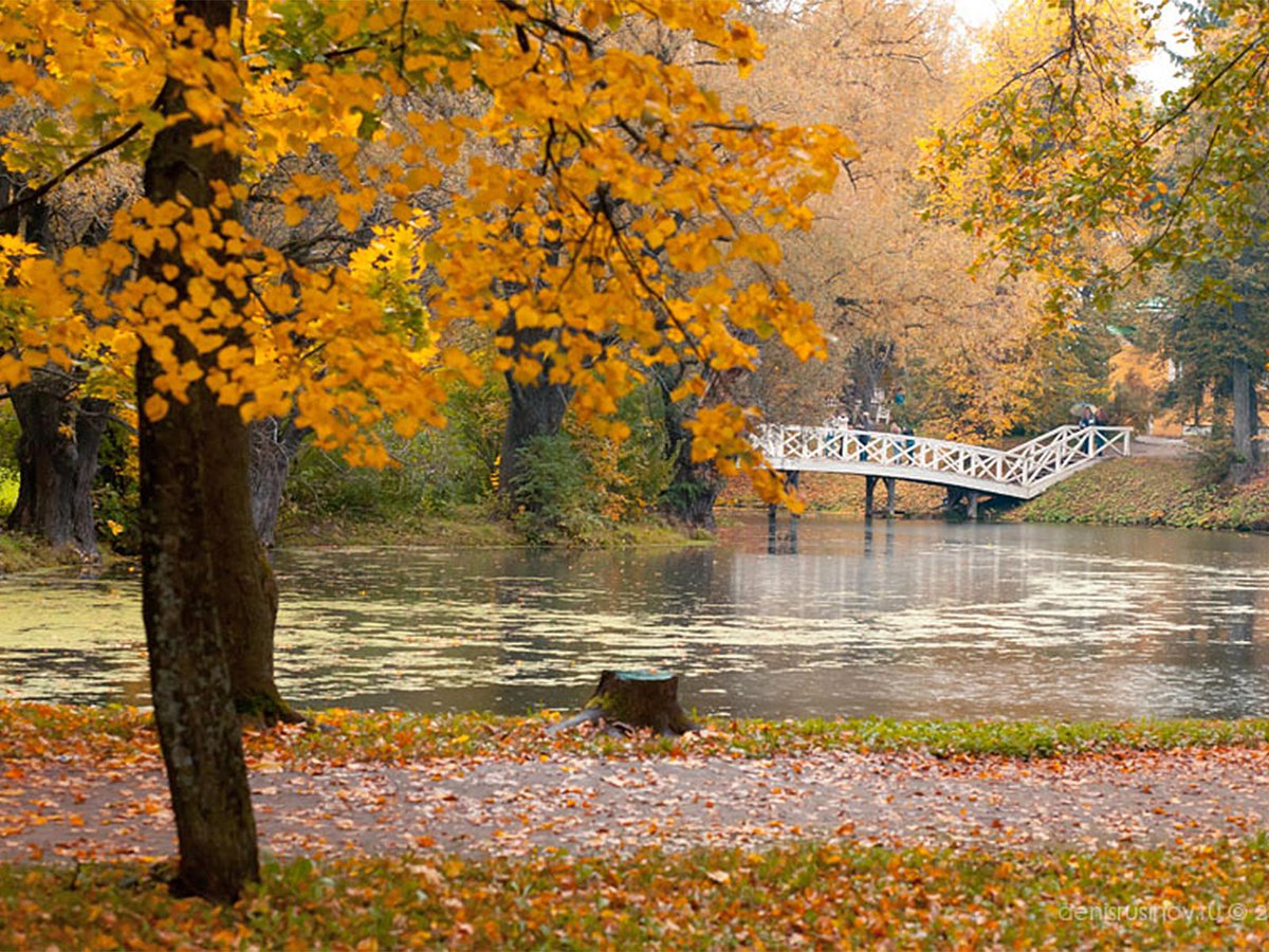 Осень в Болдино Пушкин