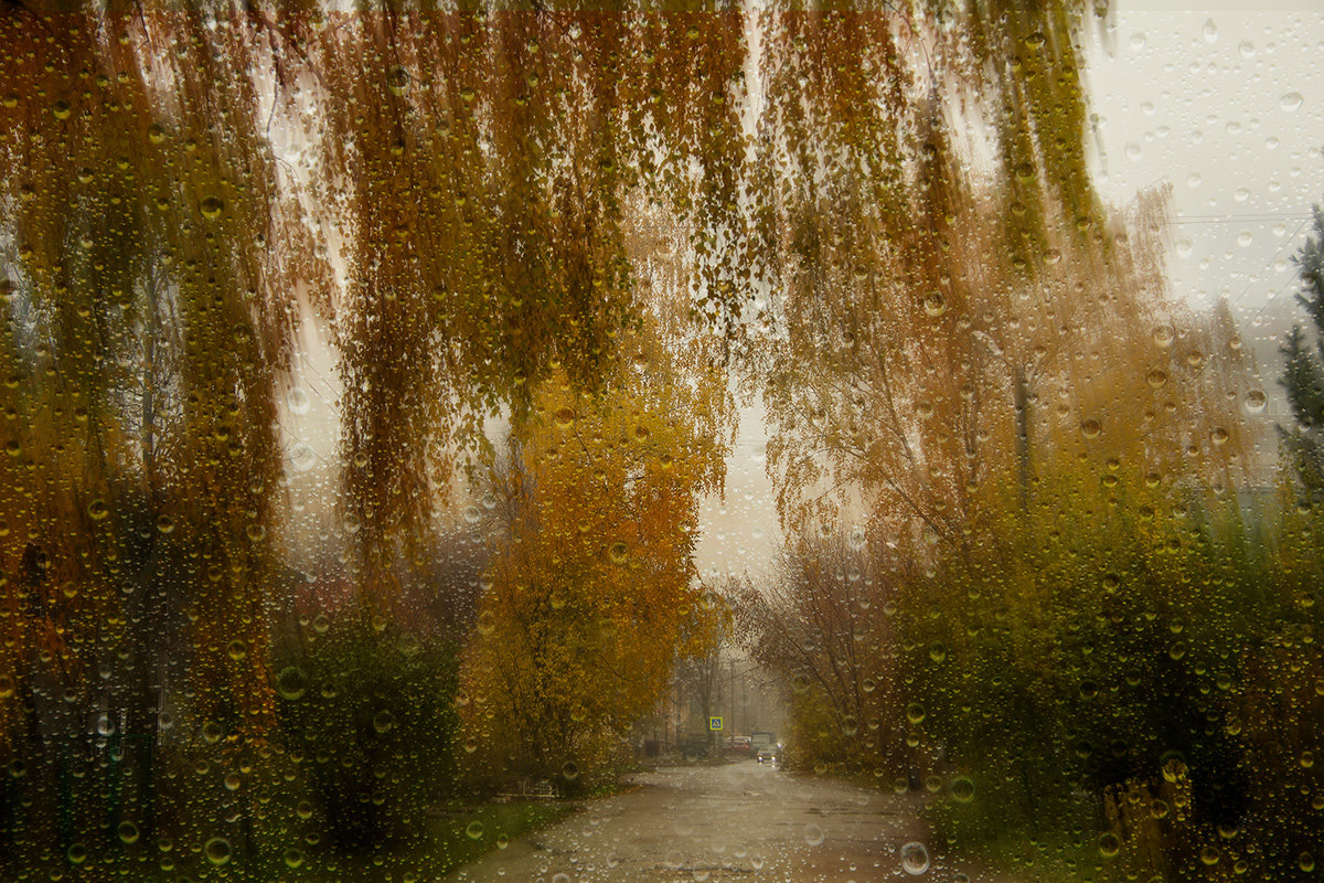 Дождик крупный. Осенний дождь. Дождливая осень. Дождливый пейзаж. Дождь осенью.