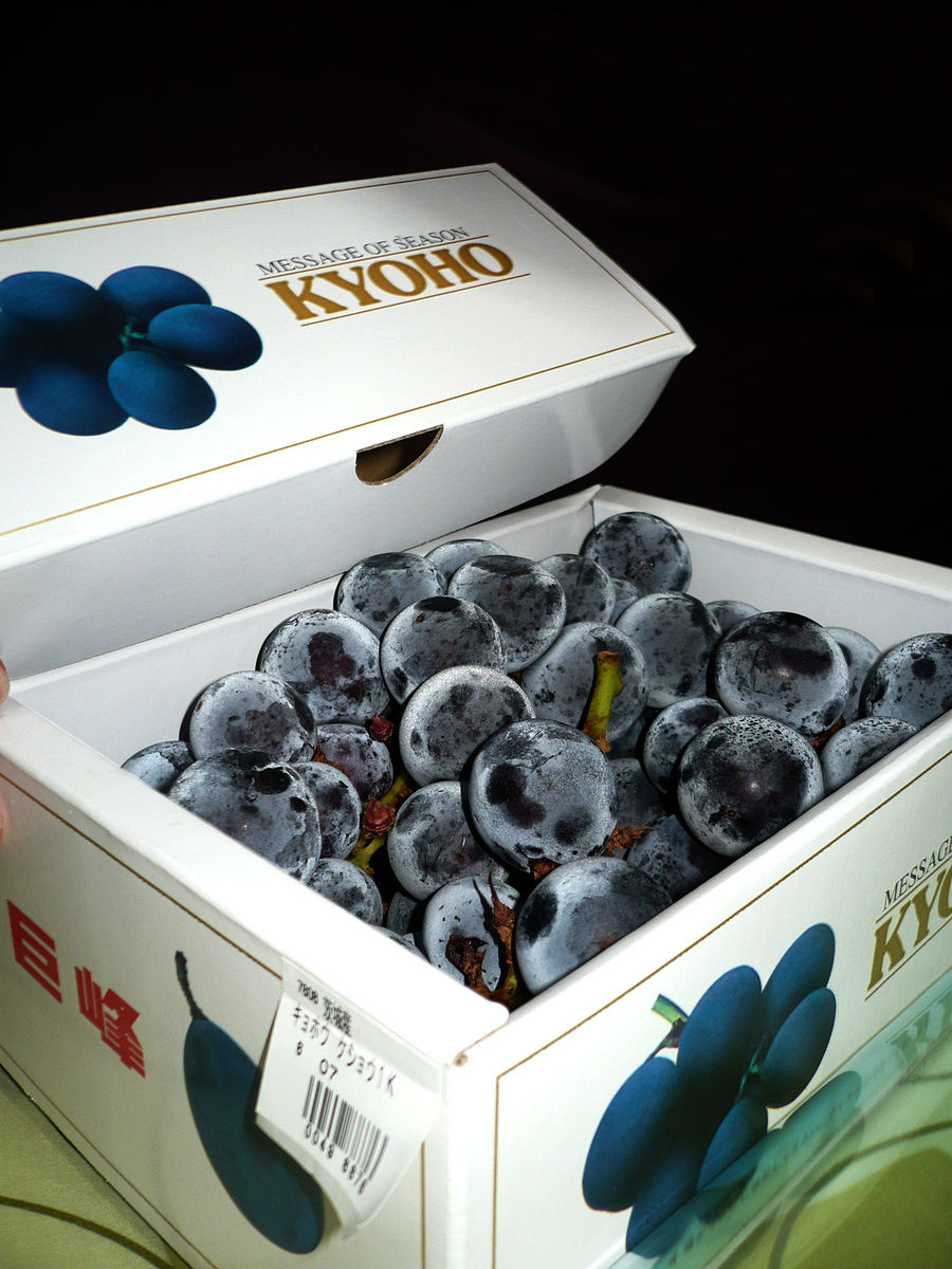 KYOHO (grape)