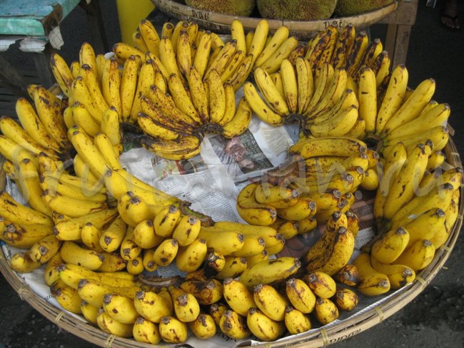 Банан лакатан