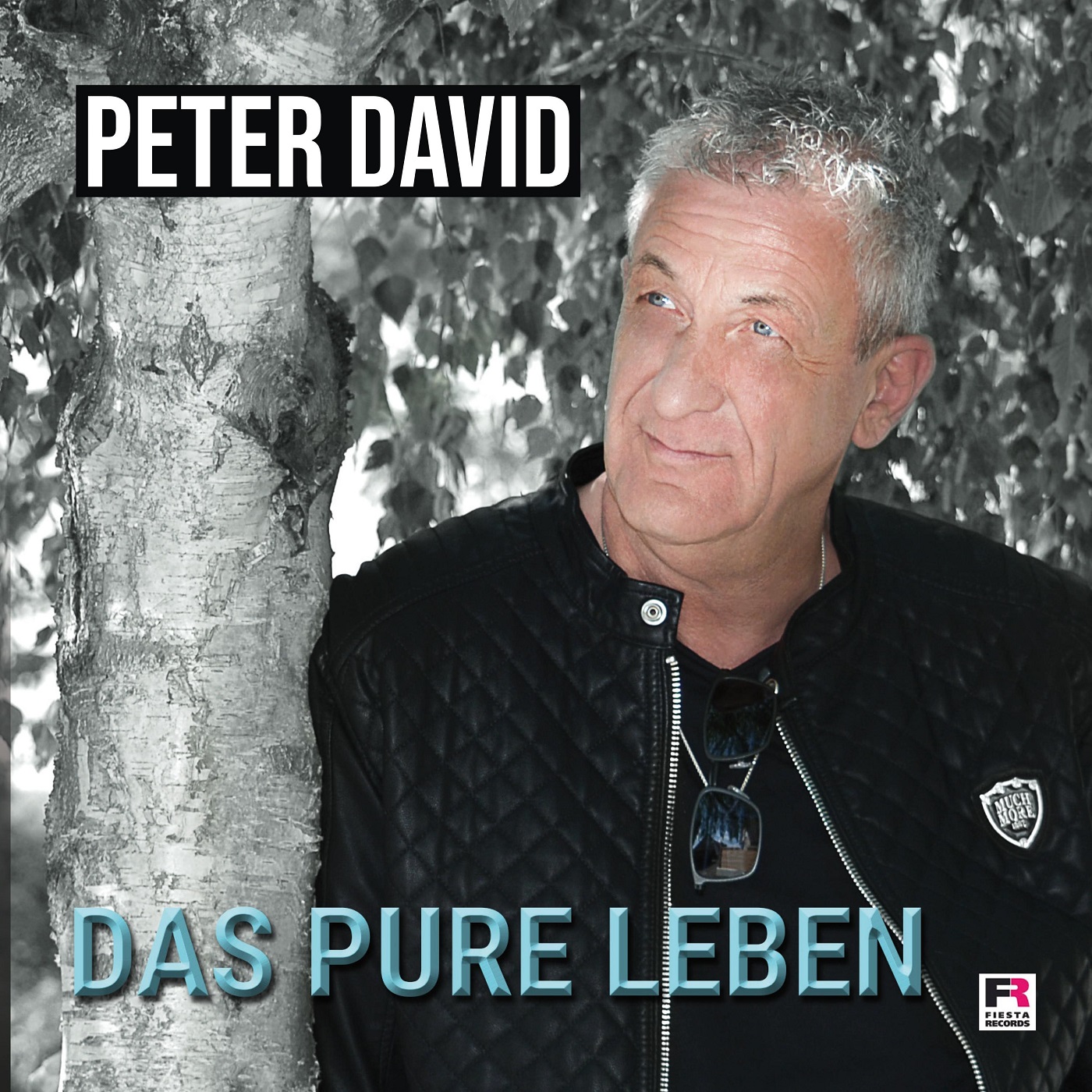 Peter David - Das pure Leben (2019) 