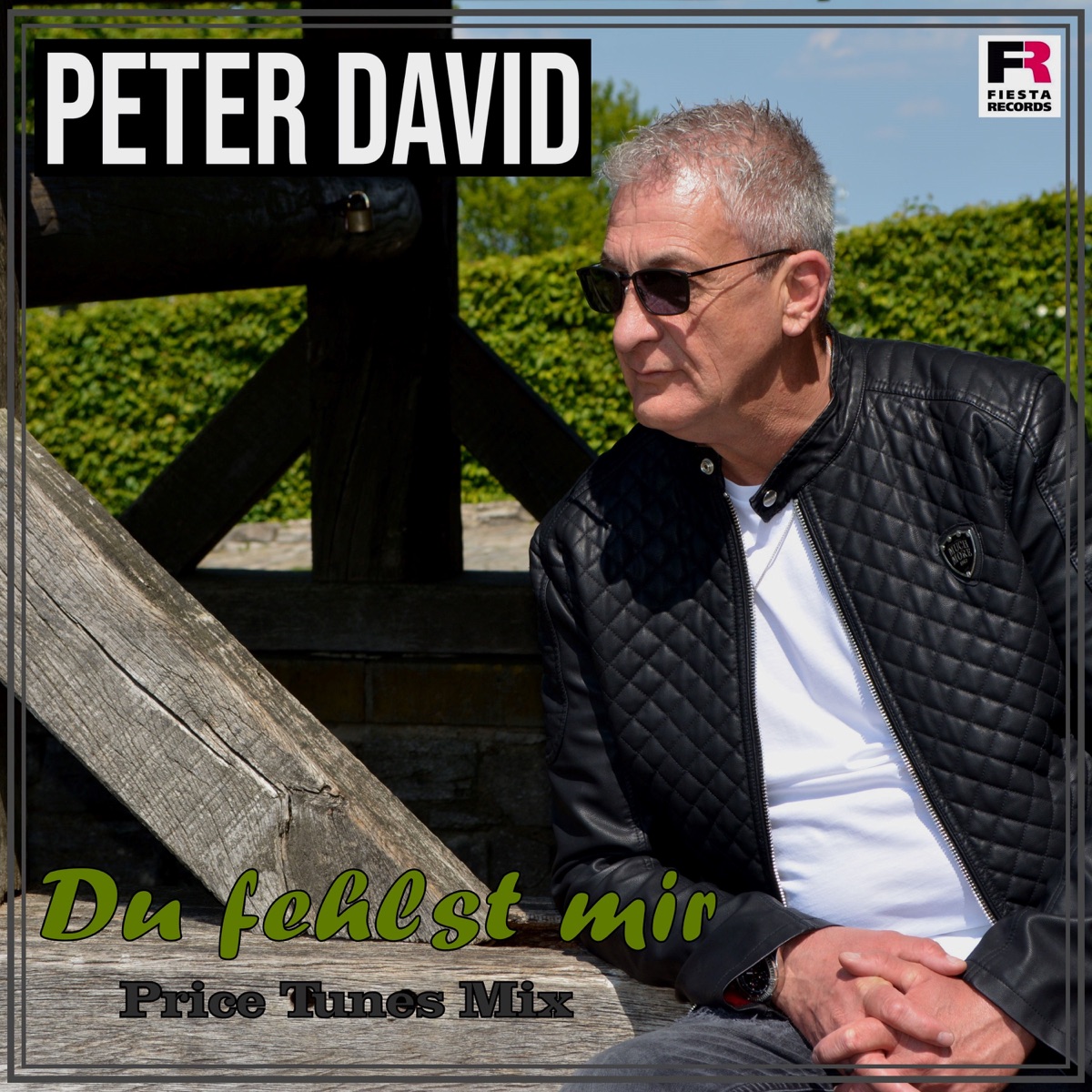 Peter David - Du fehlst mir (Price Tunes Mix) 