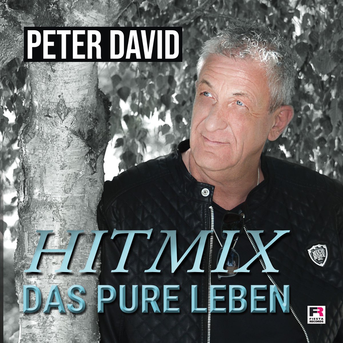 Peter David - Hitmix Das pure Leben 