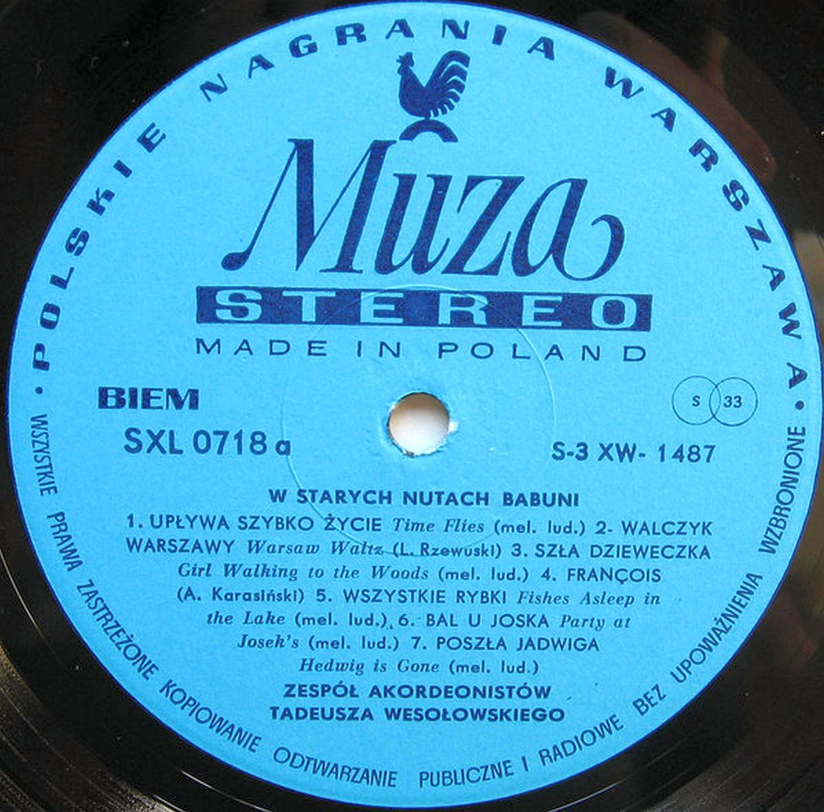 vinyl1