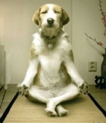 Глубочайшая  медитация.jpg