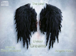 Angels Voise Poster.jpg