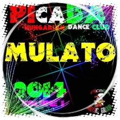 PIcaBA Group-VA Mulato 2014 vol 1.jpg