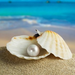 pearl-shell.jpeg