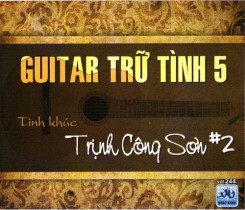 Guitar Tru Tinh 5.jpg